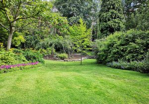 Optimiser l'expérience du jardin à Haut-du-Them-Chateau-Lambert